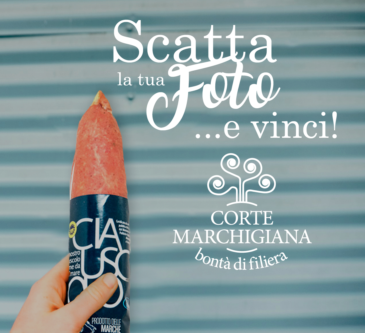 Scatta-e-vinci