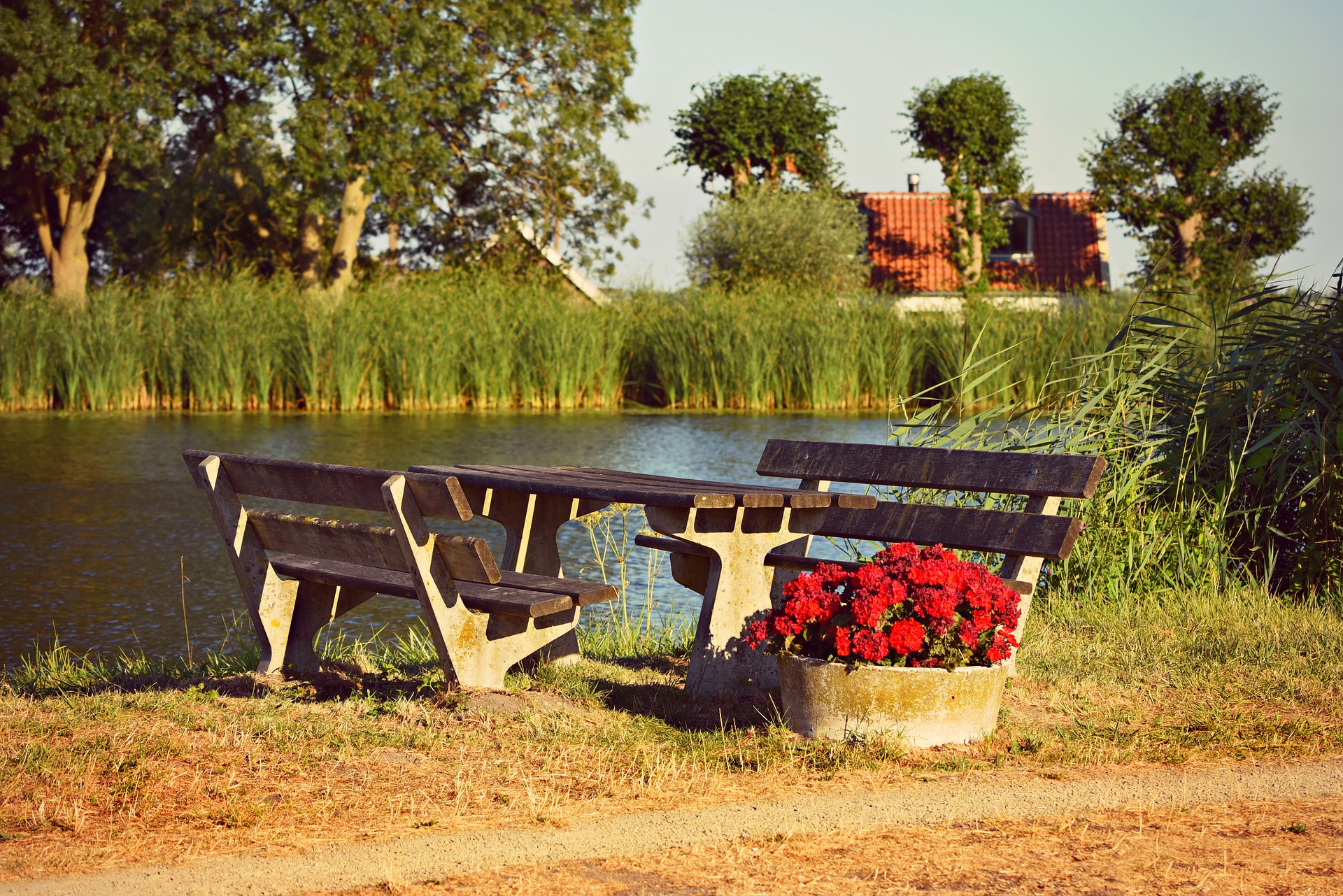 tavolo da picnic